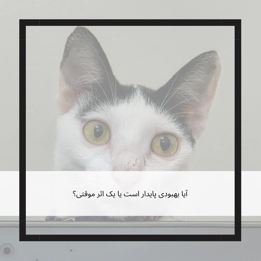 تداوم اثرات نوروفیدبک: آیا بهبودی پایدار است یا یک اثر موقتی؟