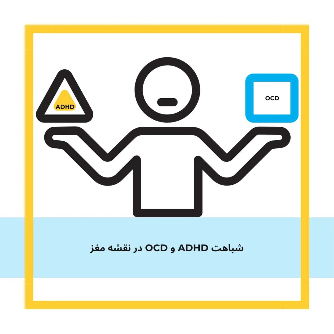 شباهت‌های فریبنده در QEEG؛ وقتی ADHD و وسواس (OCD) در نقشه مغز به هم شبیه می‌شوند